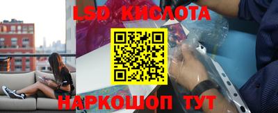 мяу мяу мука Краснознаменск