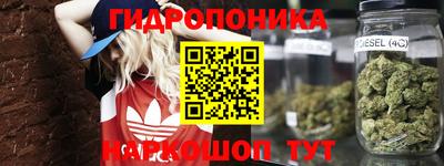 a pvp Краснокаменск